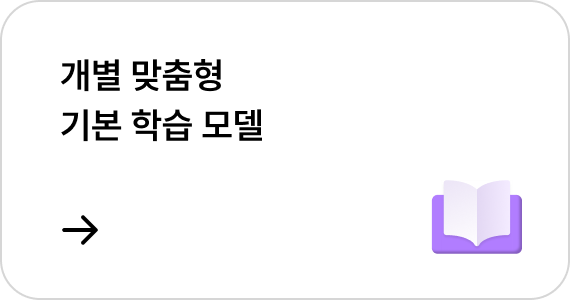개별 맞춤형 기본 학습 모델